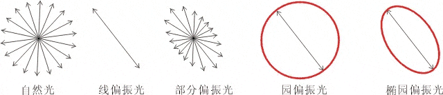 什么是偏振光？偏振光是如何完成檢測的？