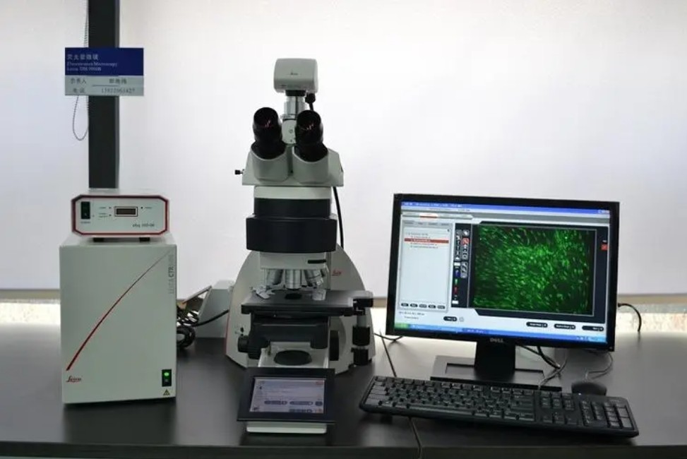 濾光片 分光之鏡:解析熒光488與594成像濾光片