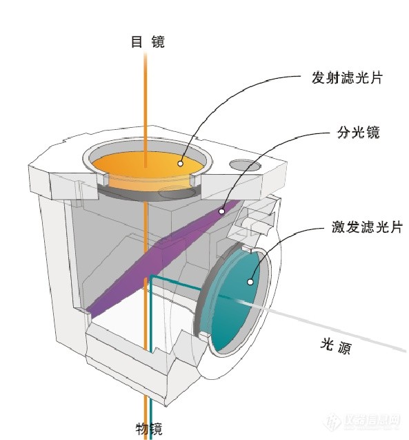 熒光顯微鏡常規(guī)光學(xué)元件應(yīng)用圖 熒光顯微鏡常規(guī)光學(xué)元件應(yīng)用圖