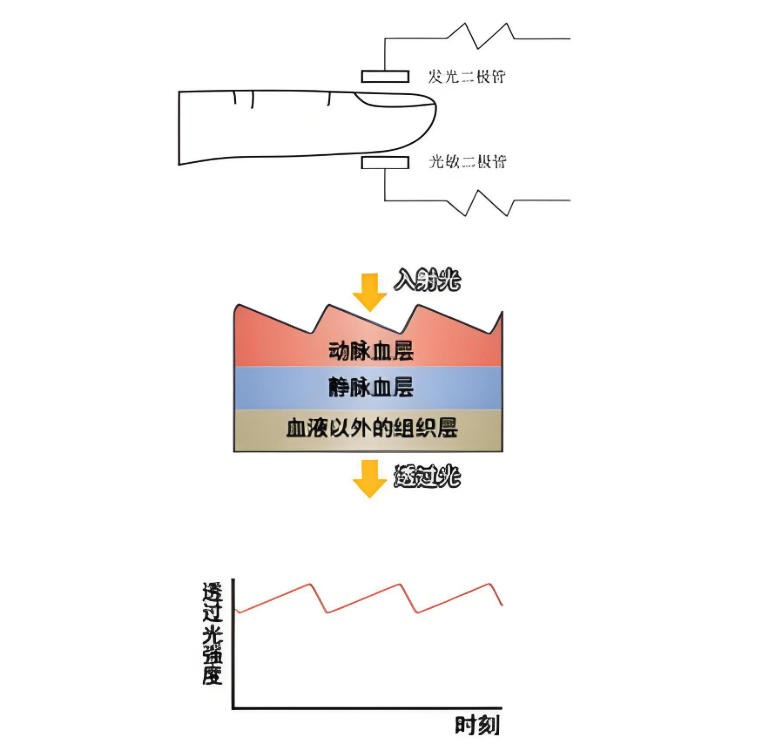 脈搏血氧儀簡介與光學原理< 脈搏血氧儀簡介與光學原理<