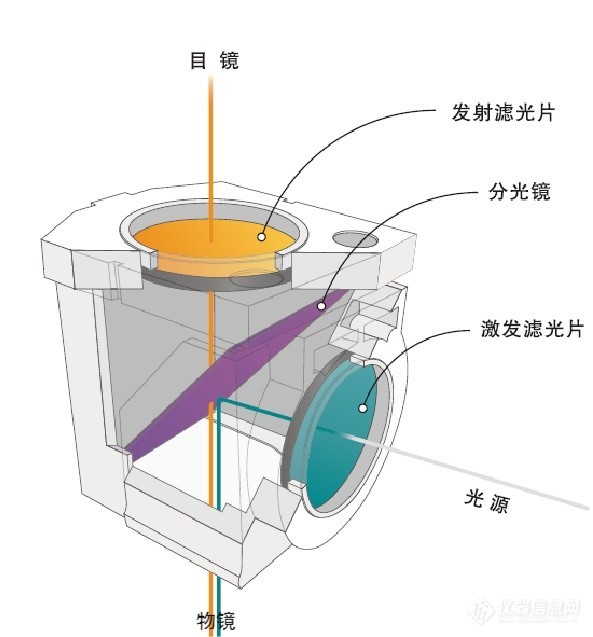 熒光顯微鏡結(jié)構(gòu)圖 熒光顯微鏡結(jié)構(gòu)圖