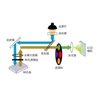 什么是熒光定量PCR、數(shù)字PCR？