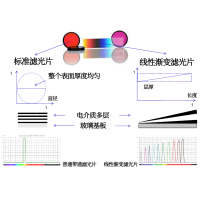 線性漸變?yōu)V光片是什么？有何特點？