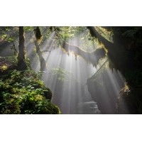光的干涉、衍射、折射、反射、散射